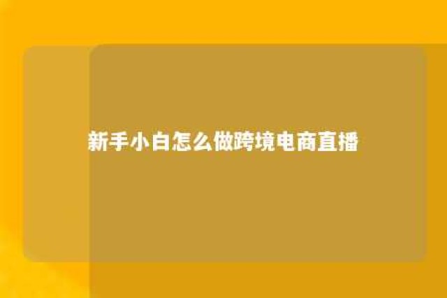 新手小白怎么做跨境电商直播 新手小白怎么做跨境电商直播视频