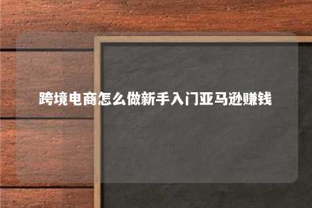 跨境电商怎么做新手入门亚马逊赚钱