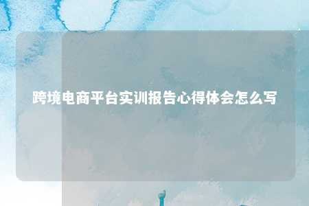 跨境电商平台实训报告心得体会怎么写